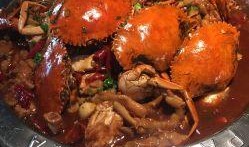 胖哥俩肉蟹煲爆料原视频,揭秘原视频中的美味诱惑与经营秘诀